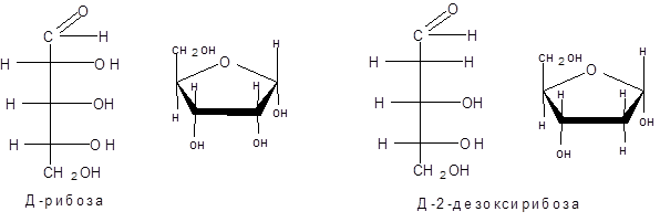 Моносахариды. Отдельные представители - student2.ru