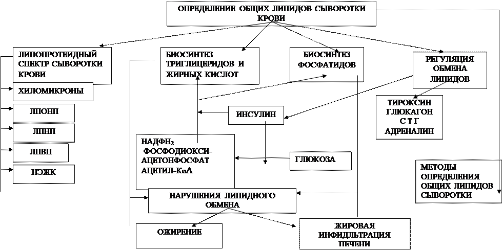 Найти материал для освоения этих вопросов можно в одном из следующих источников - student2.ru