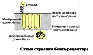 Нерастворимые в воде и водно-солевых растворах - student2.ru