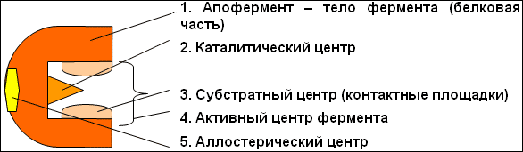 Обобщение и подведение итогов урока - student2.ru