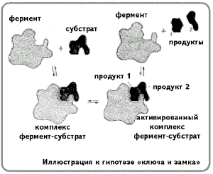 Обобщение и подведение итогов урока - student2.ru