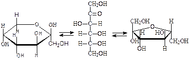 Образование циклических форм моносахаридов - student2.ru