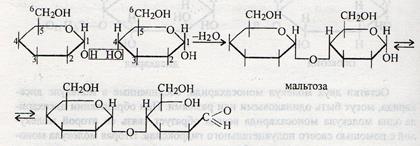 Образование циклических форм моносахаридов - student2.ru