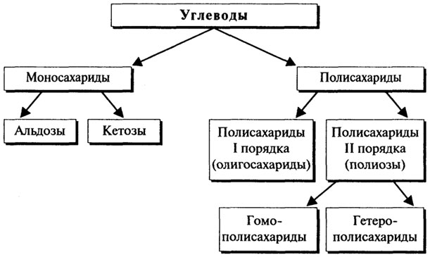 общая характеристика углеводов - student2.ru