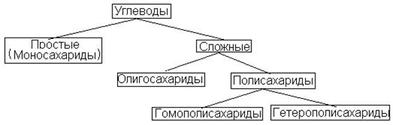 Общие сведения об углеводах - student2.ru