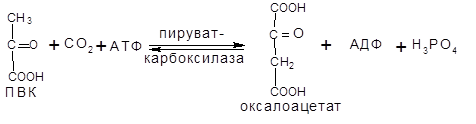 Окислительное декарбоксилирование пировиноградной кислоты (ПВК) - student2.ru
