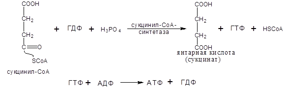 Окислительное декарбоксилирование пировиноградной кислоты (ПВК) - student2.ru