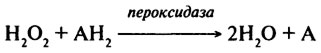 Оксидоредуктазы - student2.ru