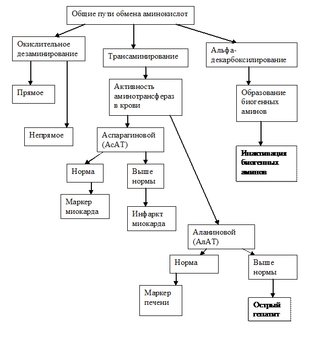 Определение активности АсАТ - student2.ru