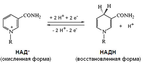 организация и функционирование - student2.ru