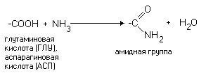 Основные различия в строении белковых молекул - student2.ru