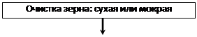 Особенности микробиологических процессов при производстве сахара. Микробиология мёда. - student2.ru