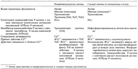 Особенности энергетического обмена в мышцах; креатинфосфат. Биохимические изменения при мышечных дистрофиях и деинервации мышц. Креатинурия. - student2.ru