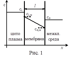 пассивный перенос. простая и облегчённая диффузия - student2.ru