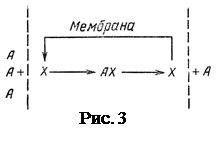 пассивный перенос. простая и облегчённая диффузия - student2.ru