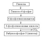 Переваривание и всасывание белков - student2.ru