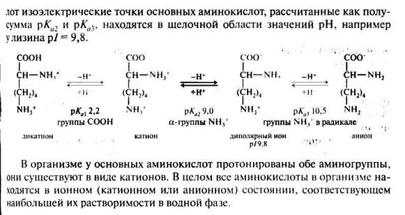 полярность бокового радикала - student2.ru