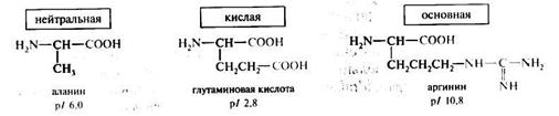 полярность бокового радикала - student2.ru