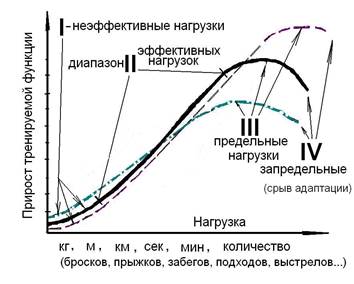 Принцип сверхотягощения и зависимость «Доза-эффект» - student2.ru
