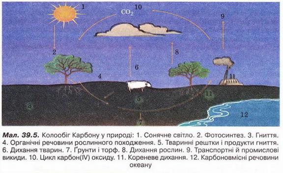 Природні та синтетичні органічні сполуки. - student2.ru