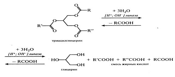 Процессы переработки жиров и масел - student2.ru
