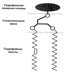 Процессы переработки жиров и масел - student2.ru