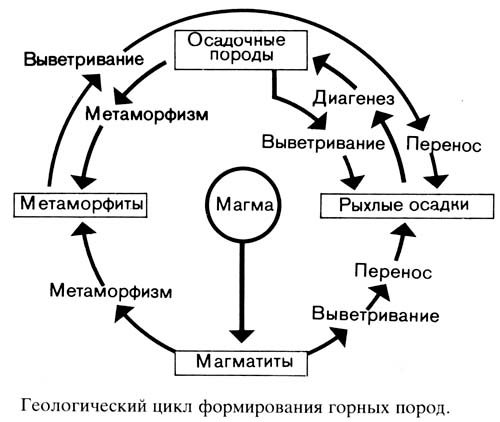 Происхождение горных пород: какие породы первичны ? К какой группе относятся хемогенные и органогенные породы ? где их используют ? - student2.ru