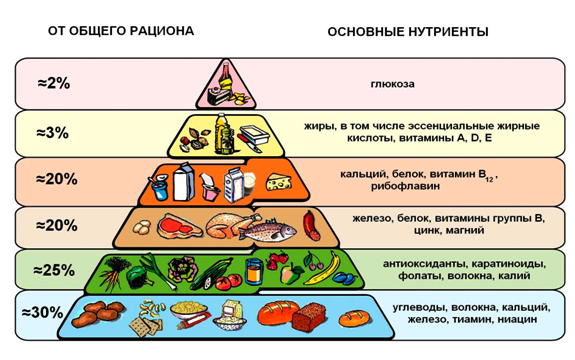 Происхождение «нутрициологии» и ее связь с другими науками. Диетология и нутрициология - student2.ru