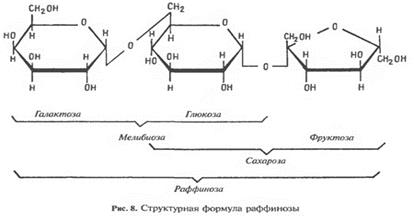 Биосинтез фосфолипидов у бактерий. - student2.ru