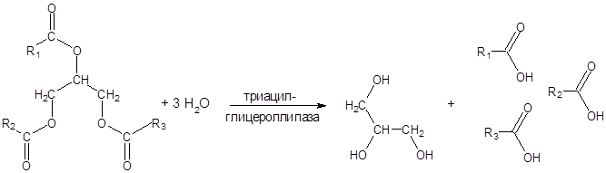 Расчет полученных данных - student2.ru