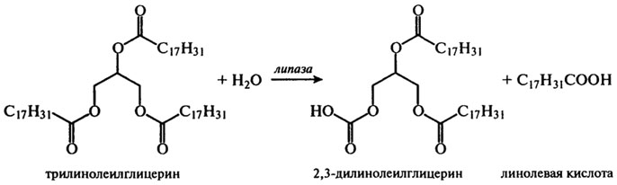 реакции ацилглицеринов с участием углеводородных радикалов - student2.ru