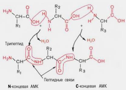 Реакція декарбоксилування - student2.ru