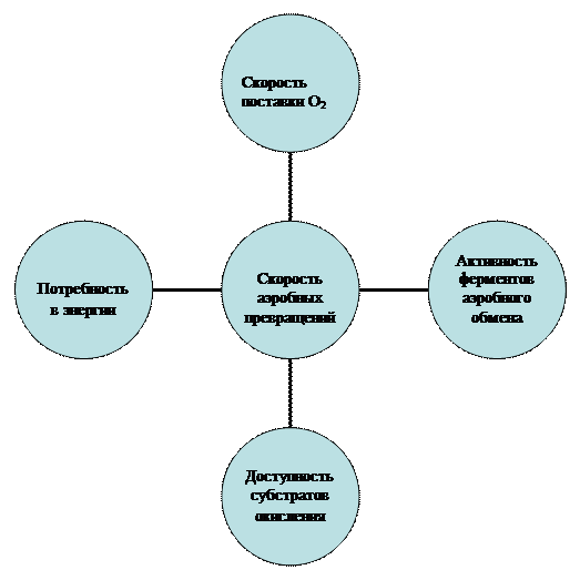 Ресинтез АТФ в процессе гликолиза - student2.ru