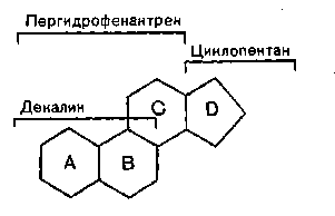 Сфинголипидтер және гликолипидтерге жалпы түсінік - student2.ru