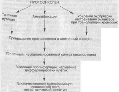 Схема 33. Механизмы активации протоонкогенов - student2.ru