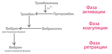 Схема переливания разногруппной крови - student2.ru