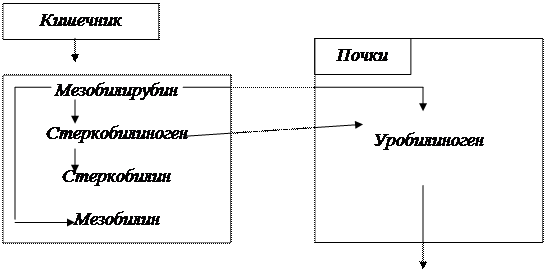 Закрепление знаний, умений учащихся - student2.ru