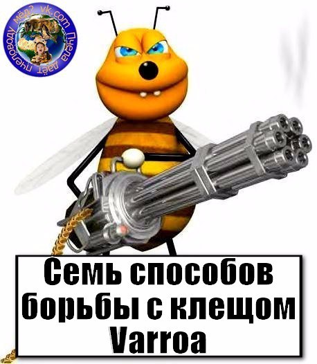 Способов борьбы с клещом Varroa - student2.ru