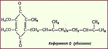 Способы получения энергии живыми организмами - student2.ru