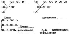 Стериды. Стероиды и стероидные гормоны. - student2.ru