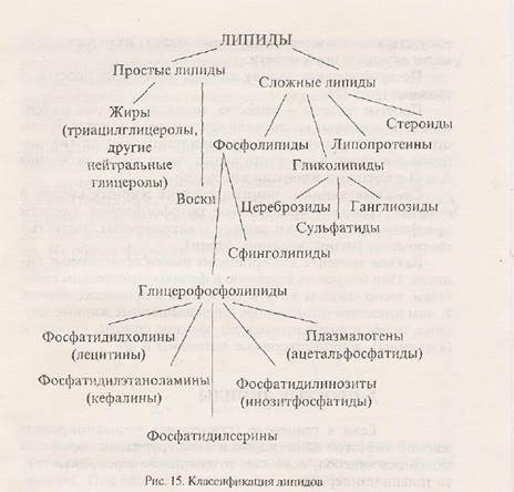 строение и свойства липвдов и их производных - student2.ru