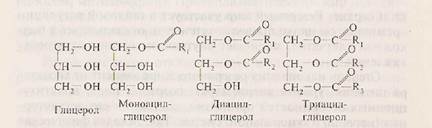 строение и свойства липвдов и их производных - student2.ru