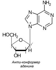 Структура дезоксирибонуклеиновой кислоты (ДНК) - student2.ru