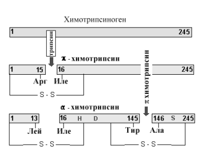 Субстрат может быть ингибитором фермента - student2.ru