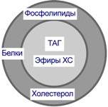 Супервторичная структура белков. - student2.ru