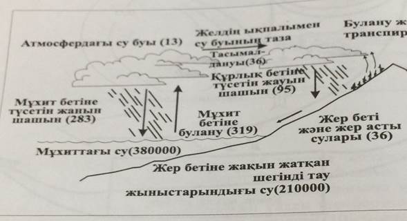 сурет. Су айналымының схемасы - student2.ru