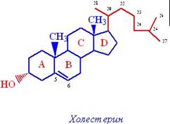 Свойства и функии холестерина - student2.ru