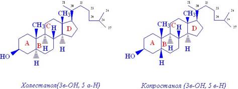 Свойства и функии холестерина - student2.ru