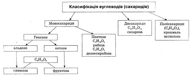 Тема 5.1. Вуглеводи. Глюкоза - student2.ru