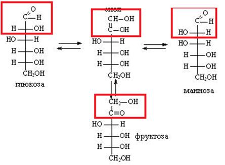 Тема 5. Химические свойства углеводов. - student2.ru